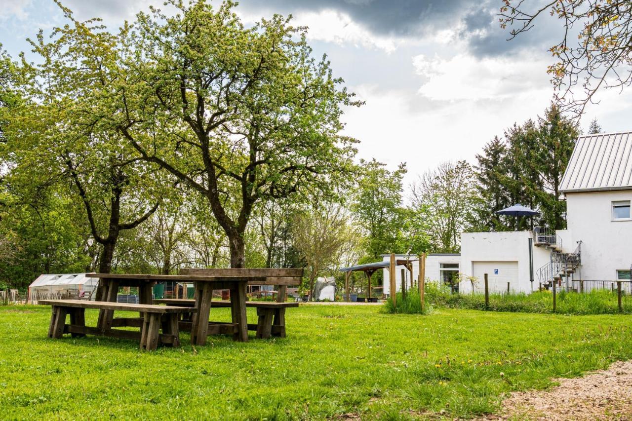 Eifel-Apartments Orsfeld Exterior foto